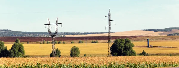 Yaz peyzaj güzelliği alanları ve güneşli bir yaz sonunda açık alanlar