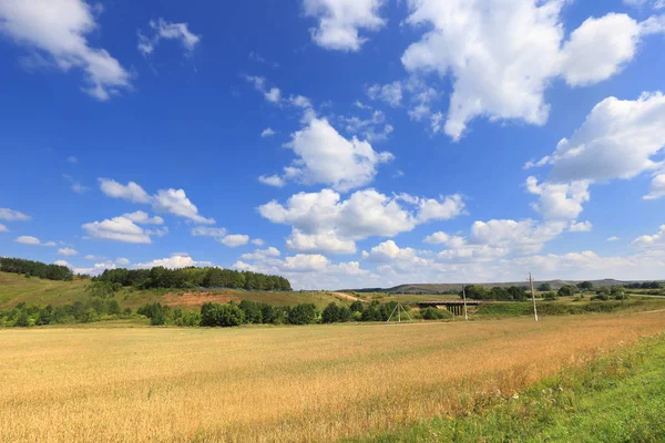 Sommar Landskap Skönheten Fält Och Öppna Ytor Slutet Sommaren Solig — Stockfoto