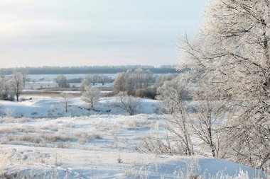 Sabahın erken saatlerinde karla kaplı tarlalar, ağaçlar ve nehirlerin kış manzarası