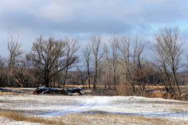 Güneşli bir kış günü, dondurucu nehrin ve yapraksız meşe ağaçlarının resimsel manzarası.