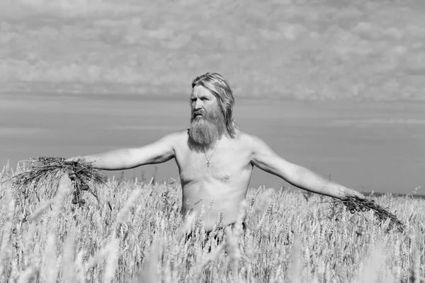 Портрет Крестьянина Пшеничном Поле Летний День — стоковое фото