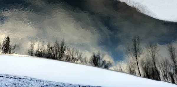 Piękny Zimowy Krajobraz Odbicie Drzew Wodzie Cicha Rzeka Pochmurny Dzień — Zdjęcie stockowe