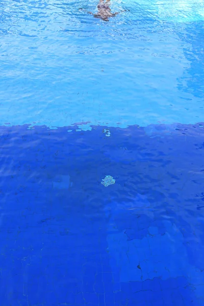 isolation swimmer underwater in clean clear pool