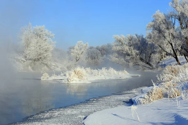 Foggy Winter Landscape Frosty Morning River Trees Hoarfrost Shores — Stock Photo, Image