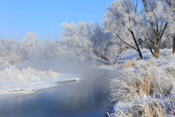 Nebbioso Paesaggio Invernale Mattinata Gelida Sul Fiume Alberi Hoarfrost Sulle — Foto Stock