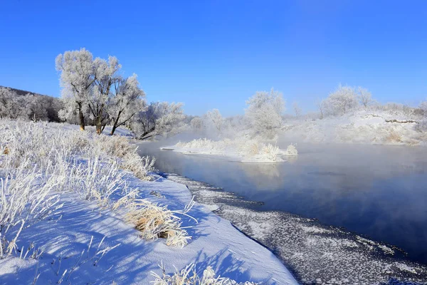 Niebla Invierno Paisaje Helada Mañana Sobre Río Los Árboles Escarcha — Foto de Stock