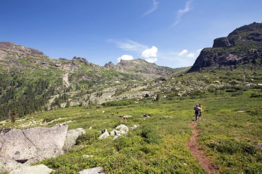 Güneşli bir yaz gününde Ergaki Batı Sayan 'daki Kaplumbağa Dağı manzarası.