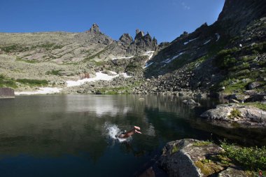 Batı Sayan dağlarında güneşli bir günde yaz manzarası...