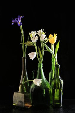 Siyah arka plan stüdyosunda su damlalarıyla kaplı şişelerde makro çiçekler.