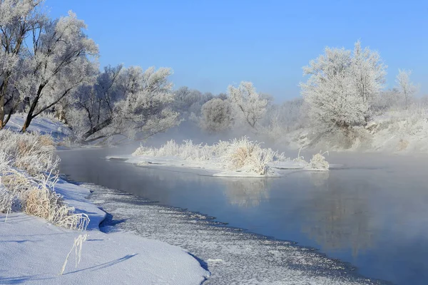 Nebuloso Inverno Paisagem Manhã Gelada Sobre Rio Árvores Hoarfrost Nas — Fotografia de Stock