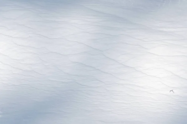 Макротекстура Теней Снегу — стоковое фото