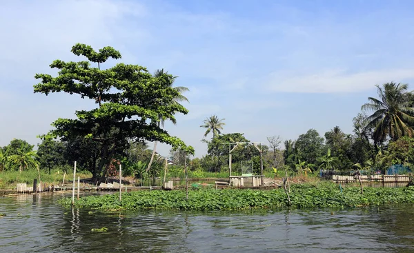 Bangkok Thailand December 2014 Båtliv Chao Phraya Floden December 2014 — Stockfoto