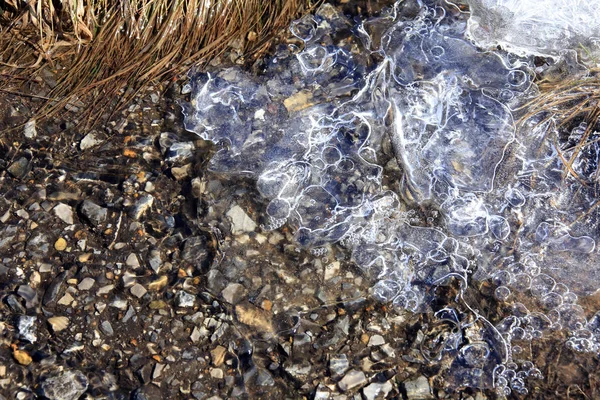 Makrotextur Dünnes Eis Flachem Wasser Sonnenlicht — Stockfoto