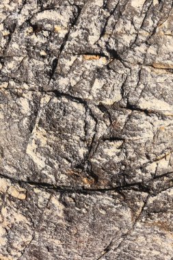 Güneş ışığında izole edilmiş makro doku kıyı kayalıkları