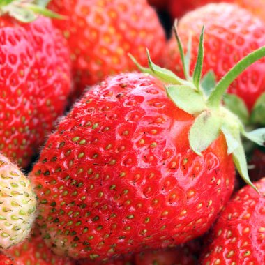 Güneşli bir günde, yaz bahçesinde olgunlaşmış çilek dokuları.