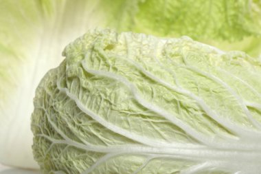 Beyaz arka plan stüdyosunda taze bok choy yakın plan