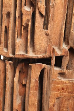 Beyaz stüdyo arka planında tahta karıncaları kesen yakın çekim bloğu.