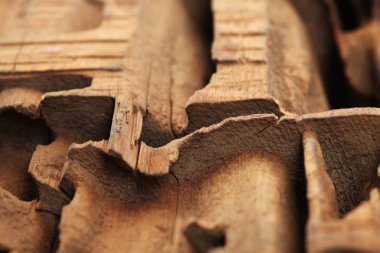 Beyaz stüdyo arka planında odun kesen eski bir blok.