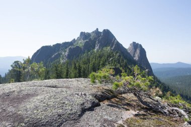 Güneşli bir yaz gününde Ergaki Batı Sayan 'daki Kaplumbağa Dağı manzarası.