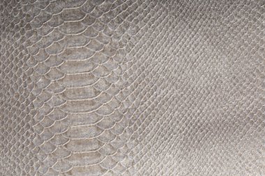 macro texture of gray snakeskin studio clipart