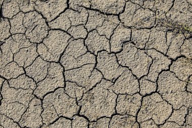 Makro doku gündüz erken baharda kuru kırık Dünya'nın