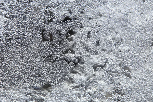 Makro Doku Ince Buz Sığ Suda Güneş Işığında — Stok fotoğraf