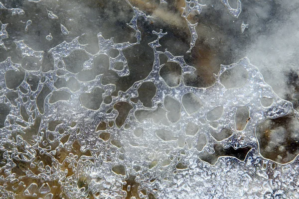 阳光下浅水中的宏观纹理薄冰 — 图库照片