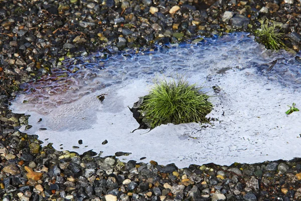 Makro Struktur Tunn Grunt Vatten Solljuset — Stockfoto