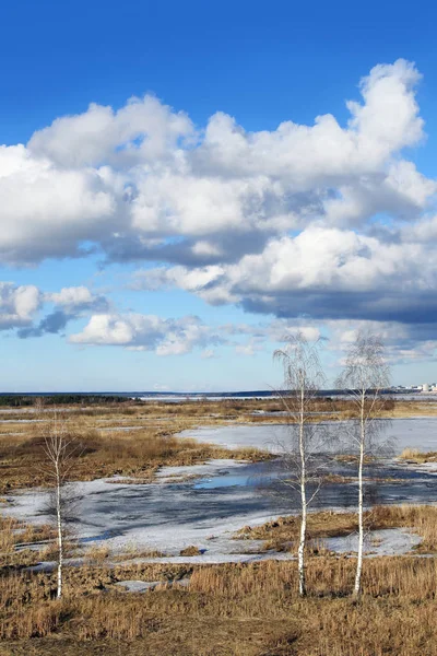 Underbar Vår Landskap Utsikt Över Den Breda Floden Och Staden — Stockfoto