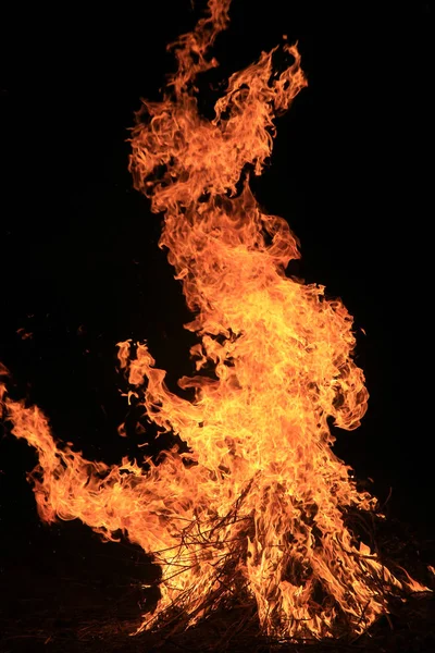 Burning Grass Black Background — Stock Photo, Image