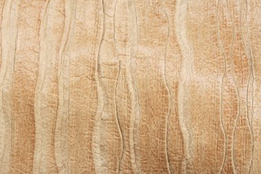 cilt stüdyo üzerinde makro doku parçası dalga şekli