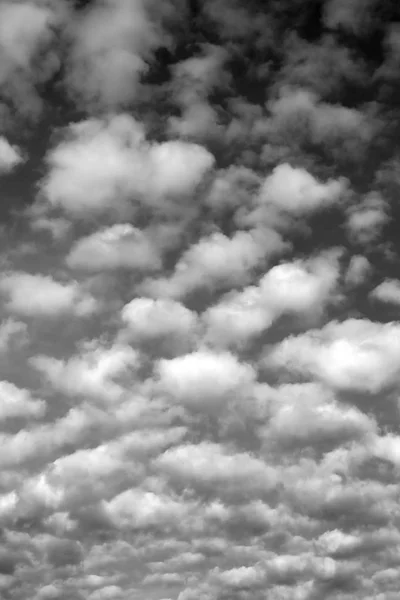 Landscape Beautiful Cumulus Clouds Blue Sky Sunny Day — Stock Photo, Image