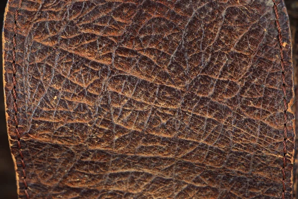 Macro Texture Fragment Old Worn Brown Leather — Stock Photo, Image