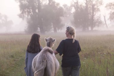 doğada yürüyüş.