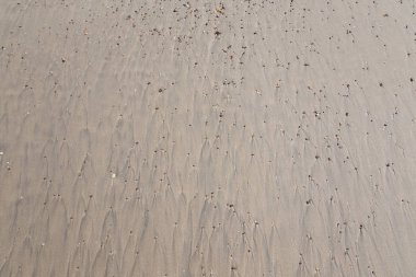 kumdaki çizimler ve ayak izleri