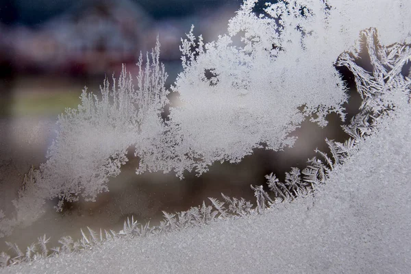 Vorst op venster — Stockfoto