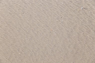 kumdaki çizimler ve ayak izleri