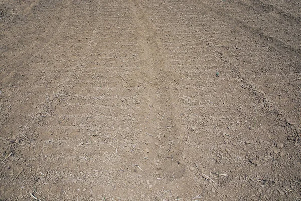 Zeichnungen und Fußabdrücke im Sand — Stockfoto