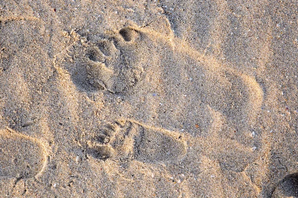 沙中的图纸和脚印 — 图库照片