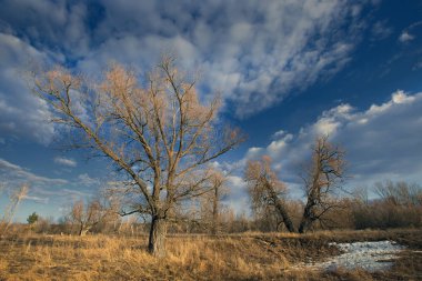 Bahar manzara nehir, orman ve bulutlar mavi bir gökyüzünde