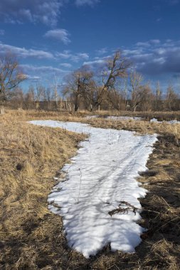 Bahar manzara nehir, orman ve bulutlar mavi bir gökyüzünde