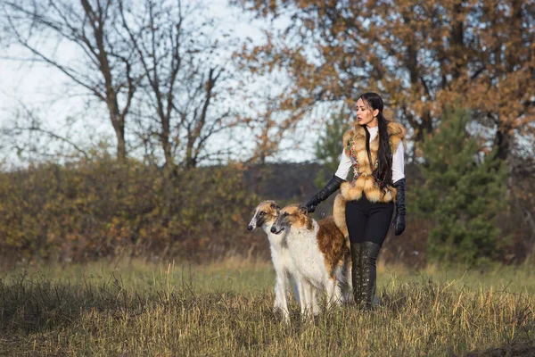 Portret van een mooi meisje jager met honden — Stockfoto