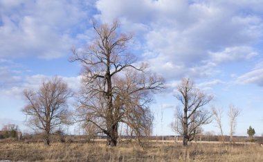 Bahar manzara nehir, orman ve bulutlar mavi bir gökyüzünde