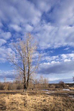 Bahar manzara nehir, orman ve bulutlar mavi bir gökyüzünde