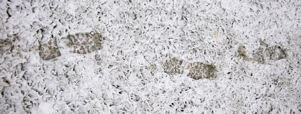 Pegadas na neve fresca — Fotografia de Stock