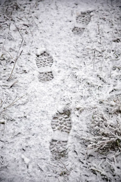 Pegadas na neve fresca — Fotografia de Stock