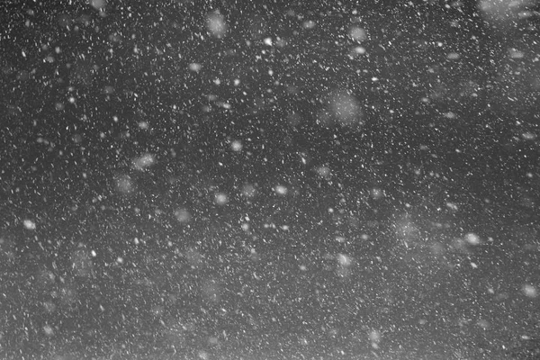 Падают настоящие снежинки, сильный снег — стоковое фото