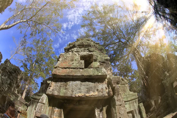 Starověká architektura v Angkor Wat v Kambodži — Stock fotografie