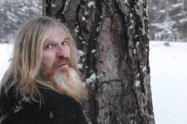 Kış çam ormanında oduncu