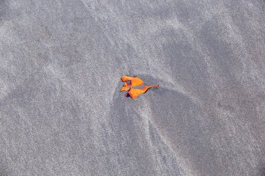 kumdaki çizimler ve ayak izleri